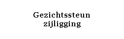 Text Box: Gezichtssteun 
zijligging