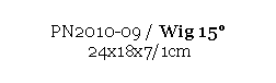 Text Box: PN2010-09 / Wig 15 
 24x18x7/1cm